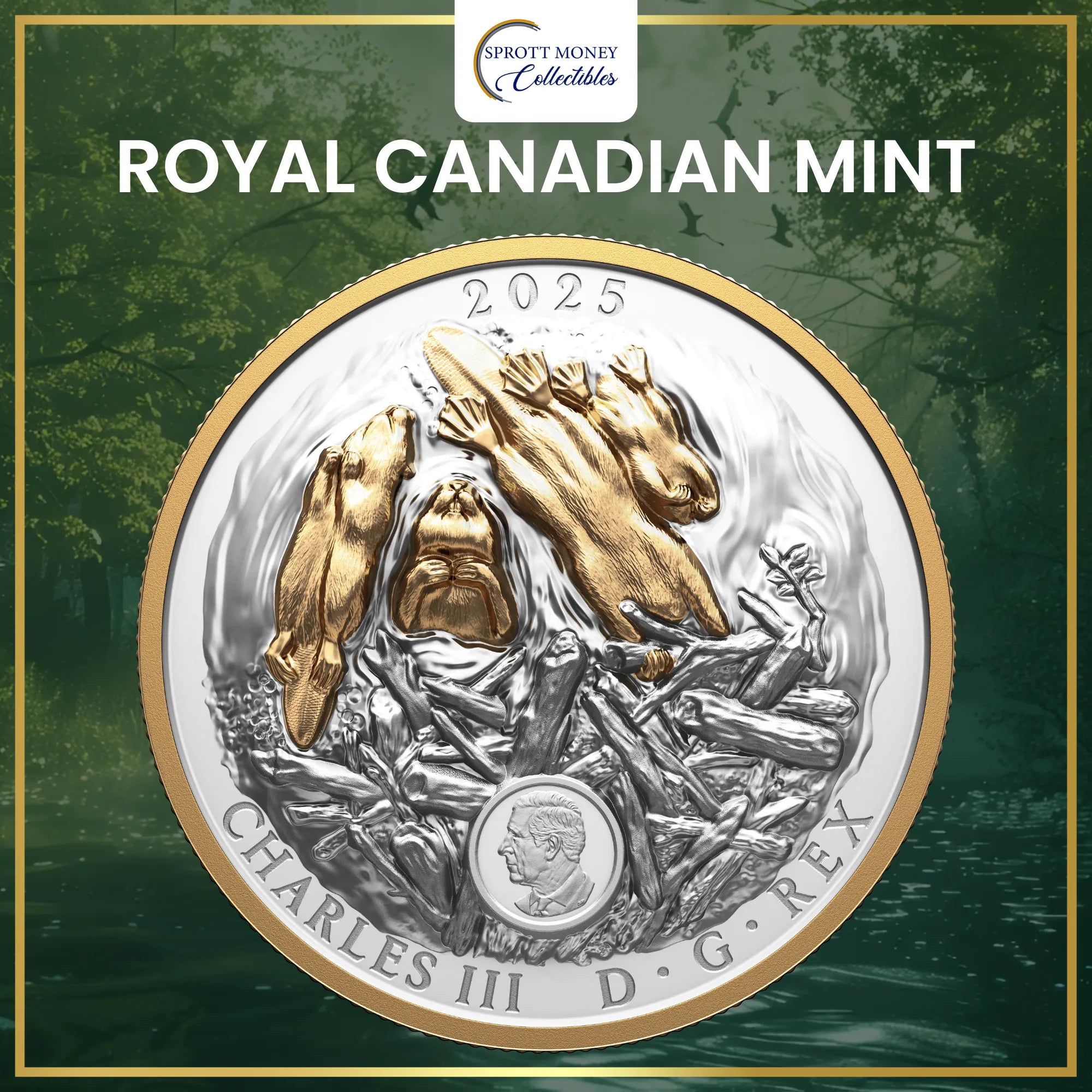 2025 100.74 g Fine Silver Coin Canadian Symbol: The Beaver –Royal Canadian Mint