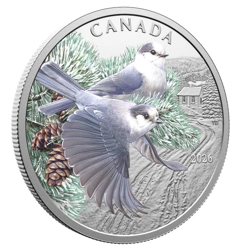 2026 1 oz. COLOURFUL BIRDS: CANADA JAYS Proof Coin- Royal Canadian Mint