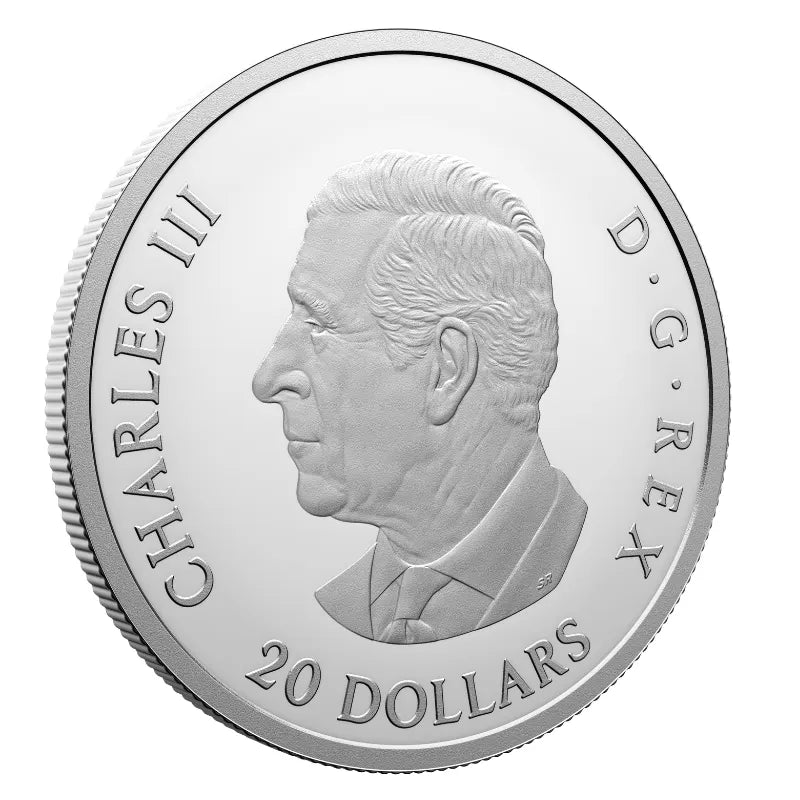 2026 1 oz. COLOURFUL BIRDS: CANADA JAYS Proof Coin- Royal Canadian Mint
