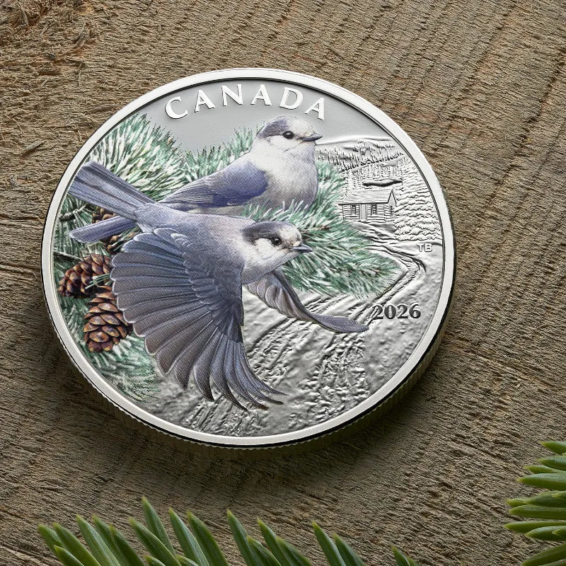 2026 1 oz. COLOURFUL BIRDS: CANADA JAYS Proof Coin- Royal Canadian Mint