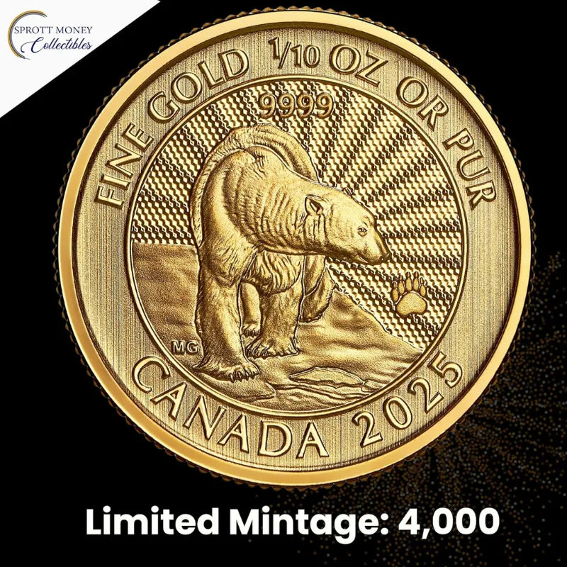prop money canadian money  canada post coins canada souvenirs silver coins 1 oz canada canadian mint coins Gold Coins