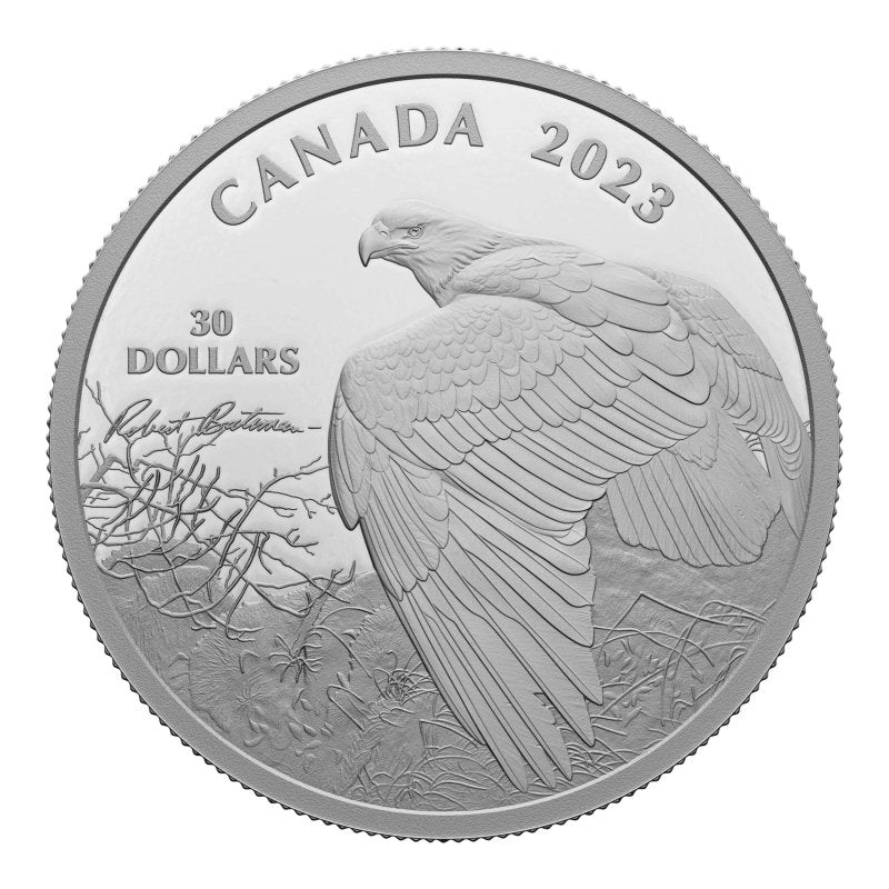 2023 Vantage Point - Bald Eagle 2 oz Silver Coin - Sprott Money Collectibles