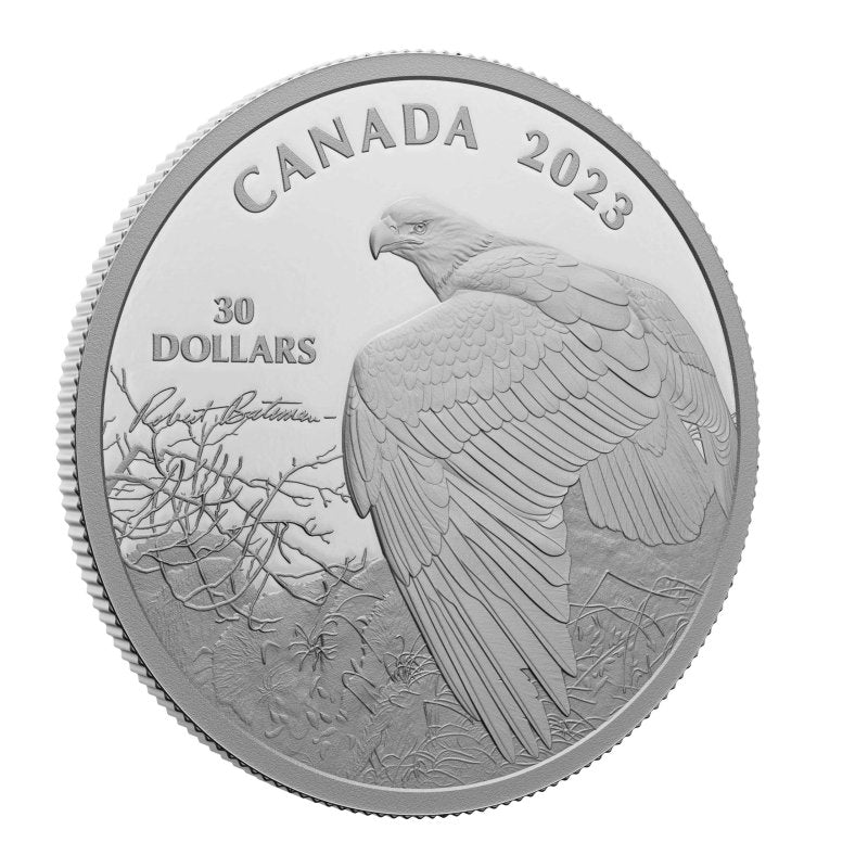 2023 Vantage Point - Bald Eagle 2 oz Silver Coin - Sprott Money Collectibles